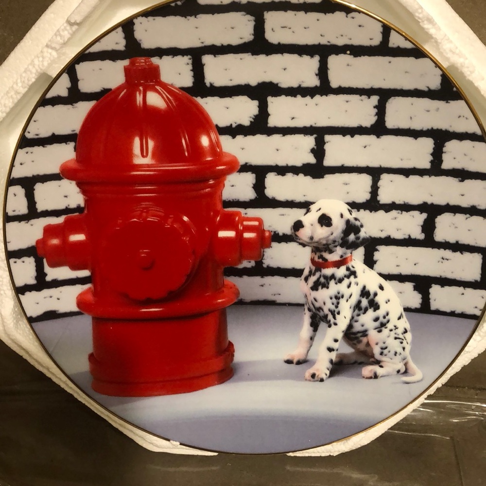 The Hamilton Collection, A Dalmatians Dream Plate 🥳3XHP🥳